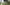 ที่ดินตำบลนาจอมเทียน อำเภอสัตหีบ ชลบุรี (ใกล้โรงแรมแอมบาสซาเดอร์จอมเทียน)