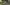 ที่ดินตำบลนาจอมเทียน อำเภอสัตหีบ ชลบุรี (ใกล้โรงแรมแอมบาสซาเดอร์จอมเทียน)