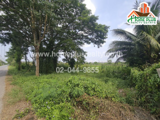 ที่ดินตำบลคลองสิบสอง หนองจอก ใกล้วัดแสนเกษม