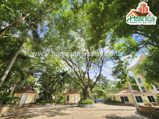 คอนโด เดอะ ชีวา แซงค์ชัวรี่ เขาใหญ่ (The Chiva Sanctuary Khao Yai) ปากช่อง-เขาใหญ่ วิวภูเขา