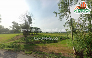 ที่ดินใกล้โรงเรียนบ้านหนองงา ตำบลพันชาลี อำเภอวังทอง พิษณุโลก เนื้อที่ 21 ไร่ 3 งาน 64 ตารางวา