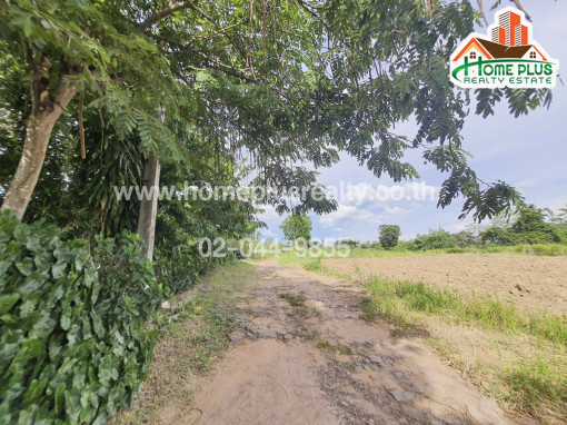 ที่ดิน ที่ดินตำบลวังน้ำเขียว นครราชสีมา (ใกล้อุทยานวังน้ำเขียว)