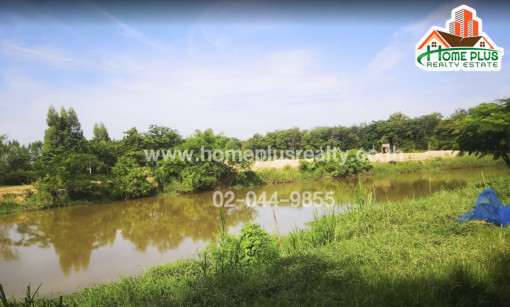 ที่ดิน ที่ดินตำบลบิง อำเภอโนนสูง นครราชสีมา (ใกล้โรงเรียนบ้านขามชั่งโค)