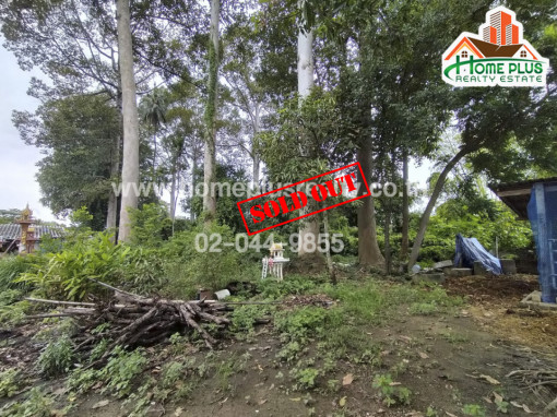 ที่ดิน ที่ดิน ตำบลหนองกบ อำเภอบ้านโป่ง ราชบุรี (ใกล้ถนนแสงชูโต)