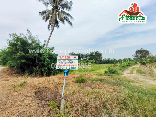ที่ดิน ที่ดินใกล้หาดเติมรักตำบลบางคูรัด อำเภอบางบัวทอง นนทบุรี เนื้อที่ 250 ตารางวา