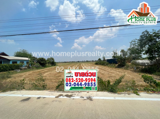 ที่ดิน ที่ดินใกล้มหาวิทยาลัยชินวัตร อำเภอสามโคก ปทุมธานี เนื้อที่ 1 ไร่ (ทำเลดีติดถนนหลัก)