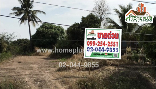 ที่ดิน ที่ดินใกล้สี่แยกท่าจักรตรงข้ามวัดพันตาเกินตำบลต้นธง อำเภอเมือง ลำพูน เนื้อที่ 160 ตารางวา