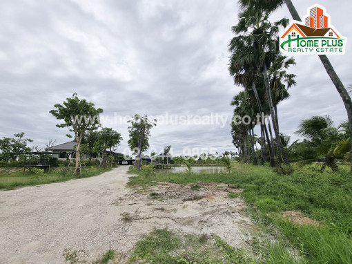 ที่ดิน ที่ดินพร้อมบ้านเดี่ยวชั้นเดียวตำบลหนองขาว อำเภอท่าม่วง กาญจนบุรี เนื้อที่ 6 ไร่ 54 ตารางวา (ใกล้โรบินสัน ไลฟ์สไตล์ กาญจนบุรี)