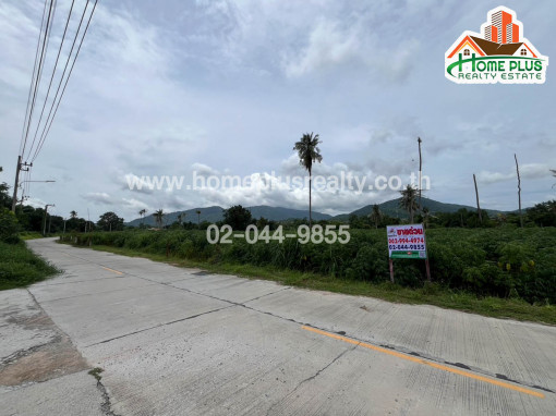ที่ดิน ที่ดินเปล่าใกล้โรงเรียนหนองรีมงคลสุขสวัสดิ์ อำเภอเมือง ชลบุรี เนื้อที่ 2 ไร่ 63.60 ตารางวา