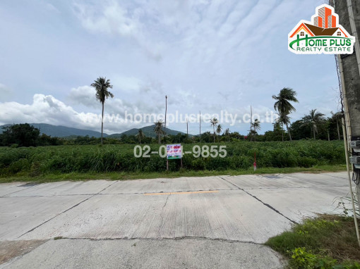 ที่ดิน ที่ดินเปล่าใกล้โรงเรียนหนองรีมงคลสุขสวัสดิ์ อำเภอเมือง ชลบุรี เนื้อที่ 2 ไร่ 63.60 ตารางวา