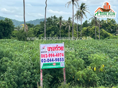 ที่ดิน ที่ดินเปล่าใกล้โรงเรียนหนองรีมงคลสุขสวัสดิ์ อำเภอเมือง ชลบุรี เนื้อที่ 2 ไร่ 63.60 ตารางวา