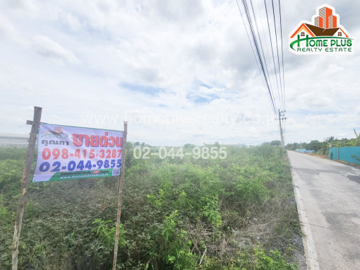 ที่ดินถนนบางสะแกใต้ อำเภอลาดหลุมแก้ว ปทุมธานี เนื้อที่ เนื้อที่ 1-3-38 ตารางวา
