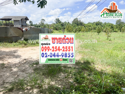 ที่ดิน ที่ดินพร้อมสวนทุเรียนถนนสายชากลาว ตำบลตะพง อำเภอเมืองระยอง เนื้อที่ 4 ไร่ 94.5 ตารางวา