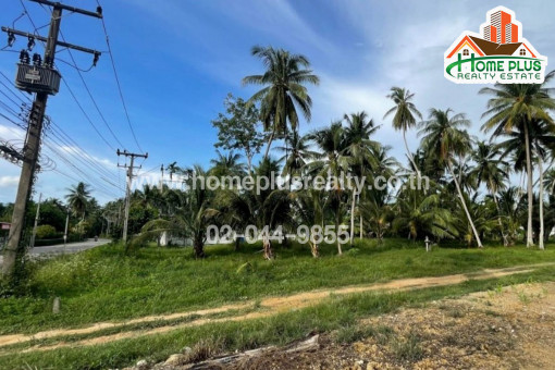 ที่ดิน ที่ดินพร้อมสวนมะพร้าว ใกล้หาดบ้านกรูด บางสะพาน ประจวบคีรีขันธ์ เนื้อที่ 3 ไร่ 7 ตารางวา