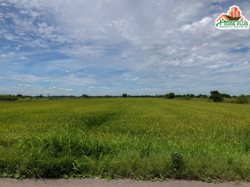 ที่ดิน ที่ดินลำลูกกาคลอง14 (ติดถนน) 39-2-25.4 ไร่