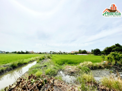 ที่ดิน ที่ดินเปล่า ตำลบางพูน จังหวัดปทุมธานี (ใกล้เวิร์คพอยท์ สตูดิโอ)