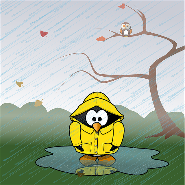 ฤดูฝนมาถึงแล้ว เตรียมตัวให้พร้อมรับมือกับปัญหายอดฮิตประจำฤดูกาล